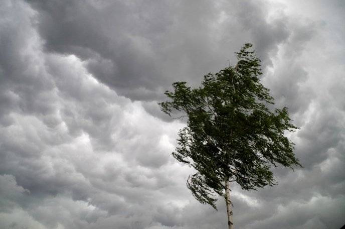 В МЧС Башкирии предупредили о резком усилении ветра