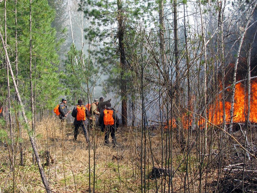 Возбуждено дело о халатности из-за лесных пожаров