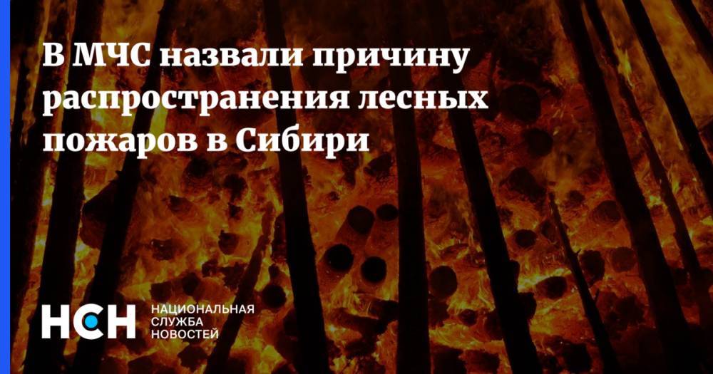 В МЧС назвали причину распространения лесных пожаров в Сибири