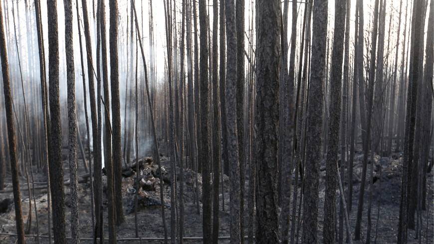 Борьба с пожарами: шаманы начали вызывать дожди в Сибири