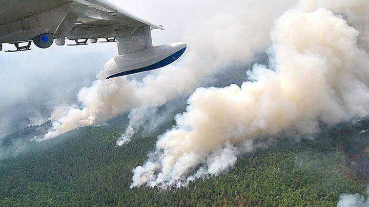 На тушение лесных пожаров в Сибири направлена авиация Минобороны РФ и МЧС России