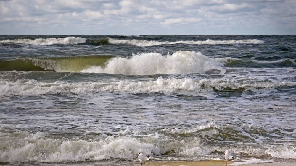 ВМФ РФ проводит учения «Океанский щит — 2019» в Балтийском море