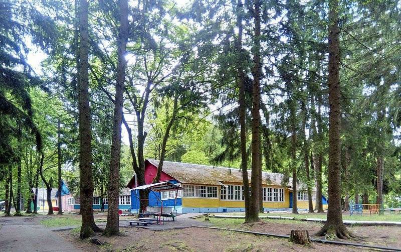 Прокуратура нашла восемь нарушений СанПиН в смоленском лагере «Юный ленинец»
