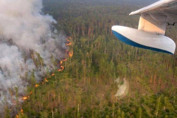 В Сибири начали вызывать искусственные дожди для тушения лесных пожаров