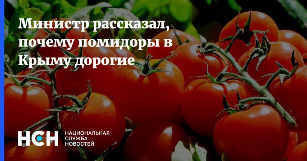 Министр рассказал, почему помидоры в Крыму дорогие
