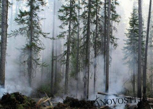 На Дальнем Востоке за сутки сгорело почти 58 тысяч гектаров леса