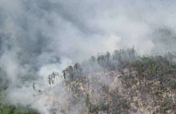 В МЧС рассказали об экологических последствиях лесных пожаров в Сибири