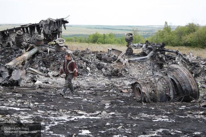 Оленченко указал причину затягивания Нидерландами расследования трагедии MH17