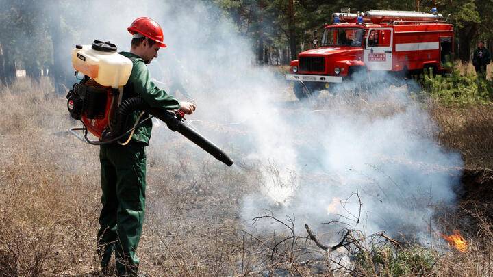 6 млрд. рублей дополнительно выделят на тушение лесных пожаров в Сибири