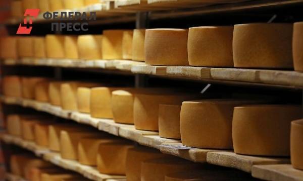 Стали известны самые вредные сорта сыра | Москва | ФедералПресс