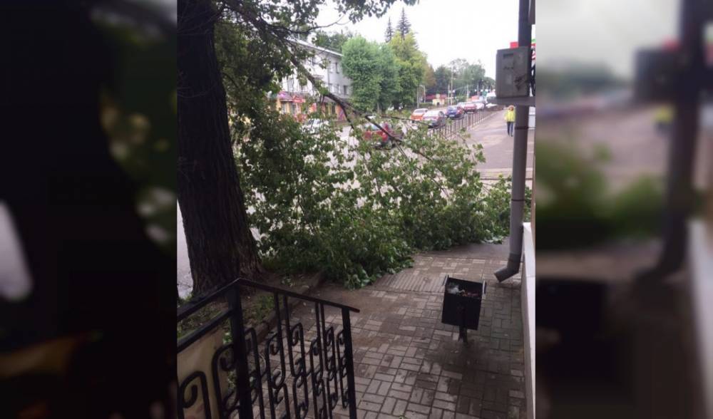 Последствия непогоды в Смоленске: рухнувшие деревья и улетевшие остановки