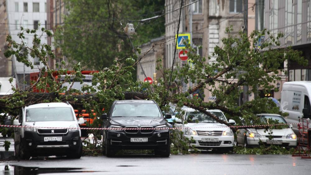 В Москве из-за штормового предупреждения задержали более 40 воздушных рейсов