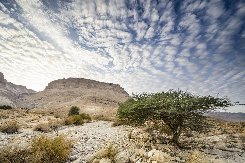 Тайна моря под пустыней Негев