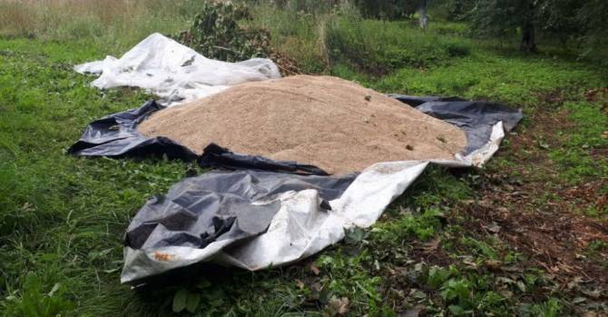 Комбайнер из Горецкого района украл более четырех тонн зерна