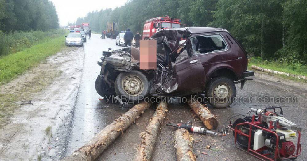 Упавшие с лесовоза брёвна раздавили двух человек в Костромской области.
