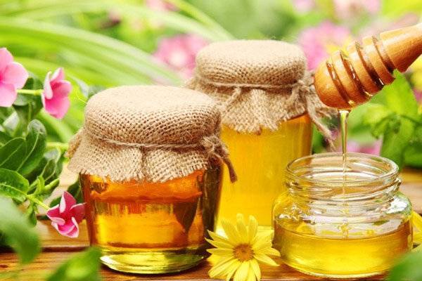 Пчеловоды Франции заявили о грядущем росте цен на мед из-за погоды