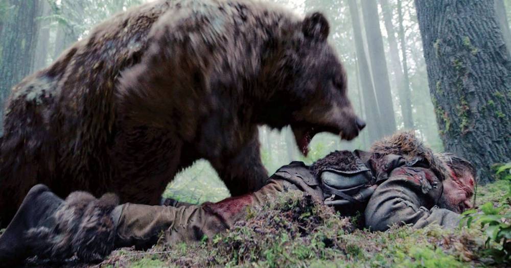 В лесу под Рославлем местные вновь столкнулись с медведем-потрошителем