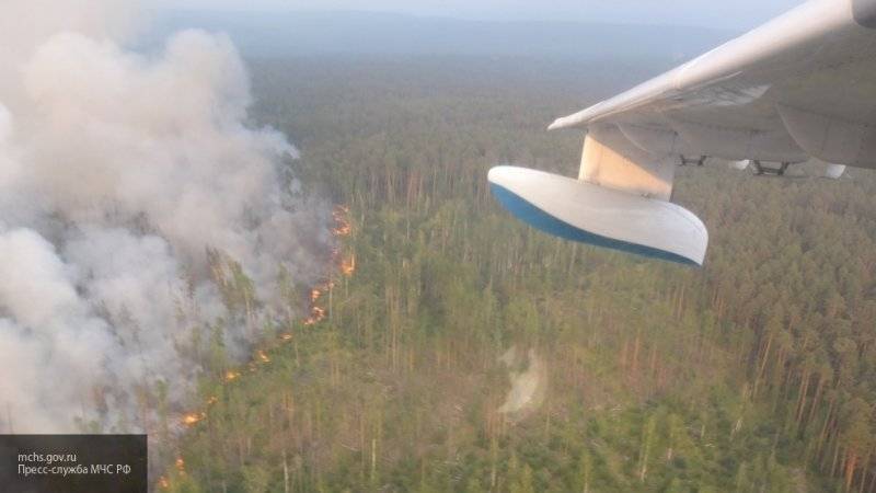 Более 40 лесных пожаров ликвидировали в России за последние сутки