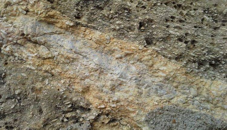 В блоке известняка возрастом 70 млн лет найдены медные «пули»
