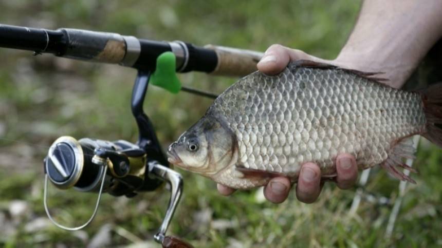 Видео: новые правила любительской рыбалки в России