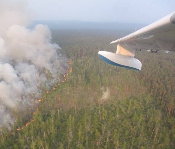 Площадь лесных пожаров в России продолжает расти: дым впервые дошел до Арктики