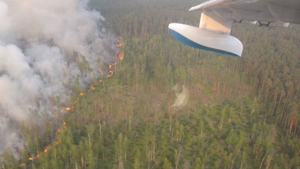 Более 40 лесных пожаров ликвидировали в России за сутки