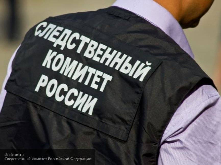 СК РФ предупреждает москвичей об ответственности за призывы к массовым беспорядкам