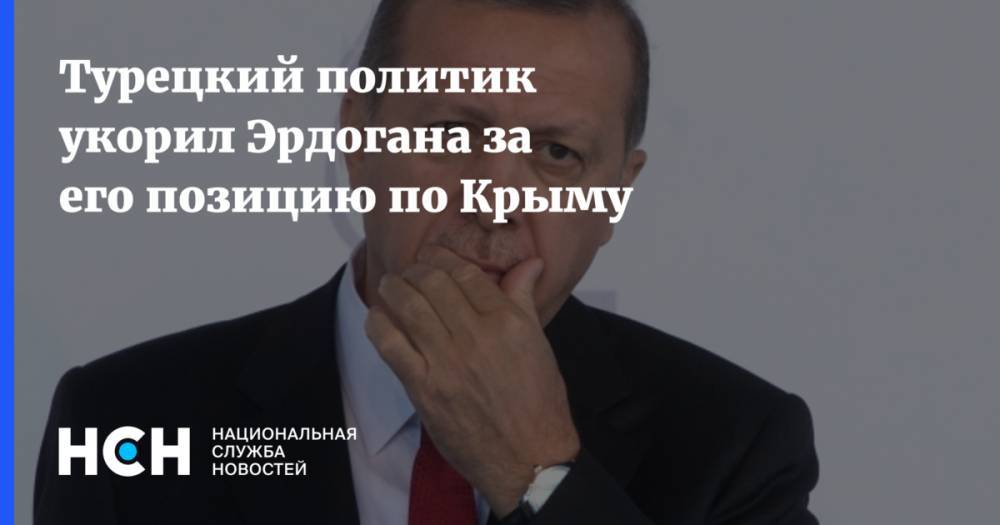 Турецкий политик укорил Эрдогана за его позицию по Крыму