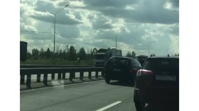 Жертвой ДТП на Пулковском шоссе стал баран. Или козел