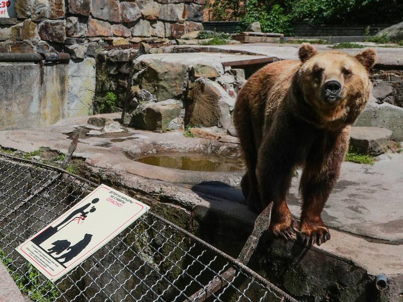 Московский зоопарк работает в штатном режиме 10 августа
