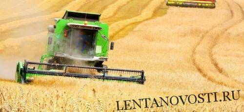 Украина собрала почти 37 млн тонн зерна