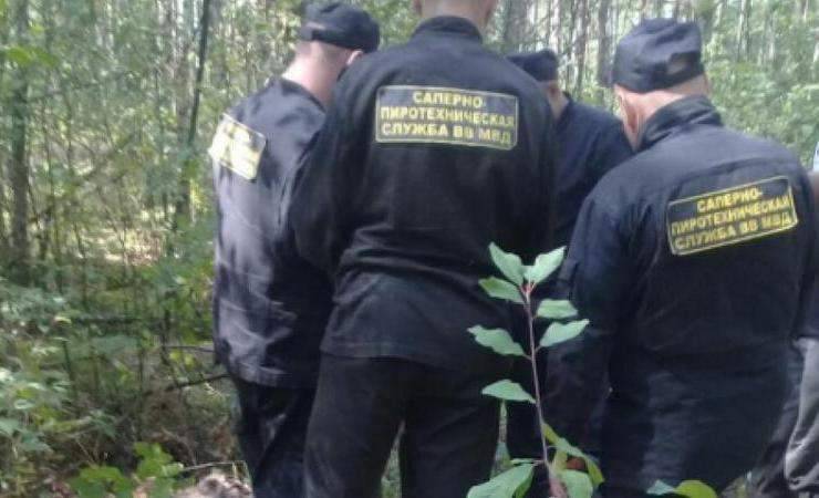Белорус пошел по грибы и нашел в лесу 24 ракеты системы залпового огня «Смерч»