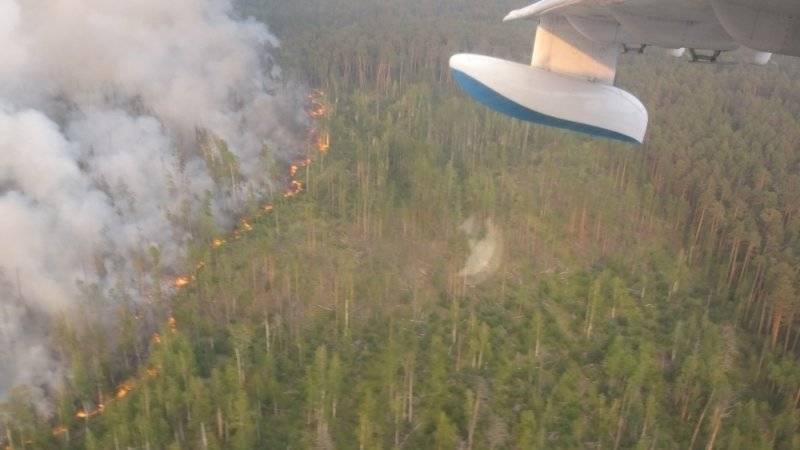 Более 30 лесных пожаров потушили в Якутии за сутки