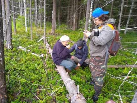 Волонтеры спасли бабушку, трое суток блуждавшую в семеновских лесах