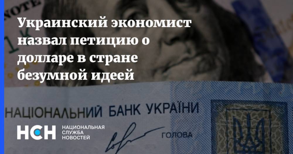 Украинский экономист назвал петицию о долларе в стране безумной идеей