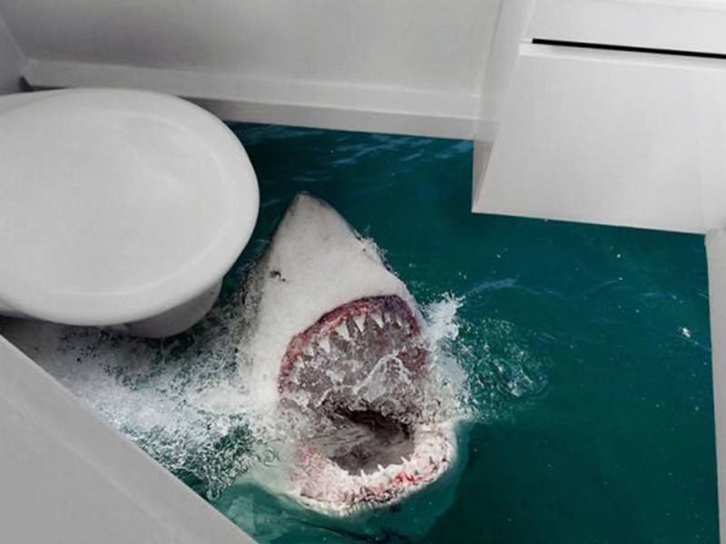 Фотографии самых нелепых ванных комнат взорвали Интернет