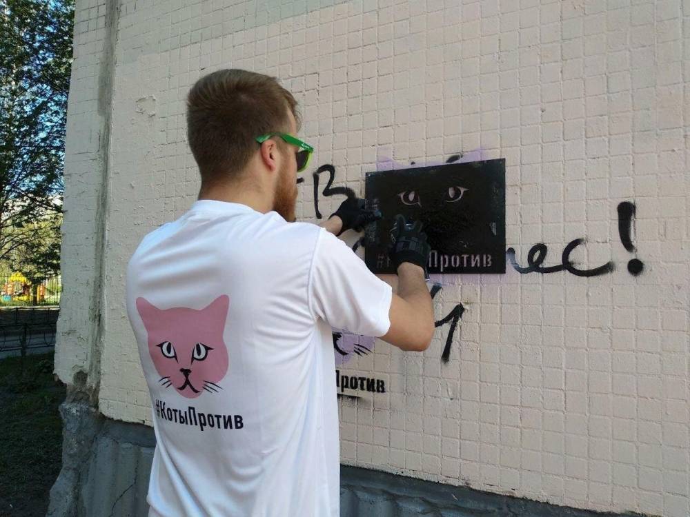 Активисты проекта «Коты Против» рассказали о борьбе с рекламой наркотиков в Петербурге