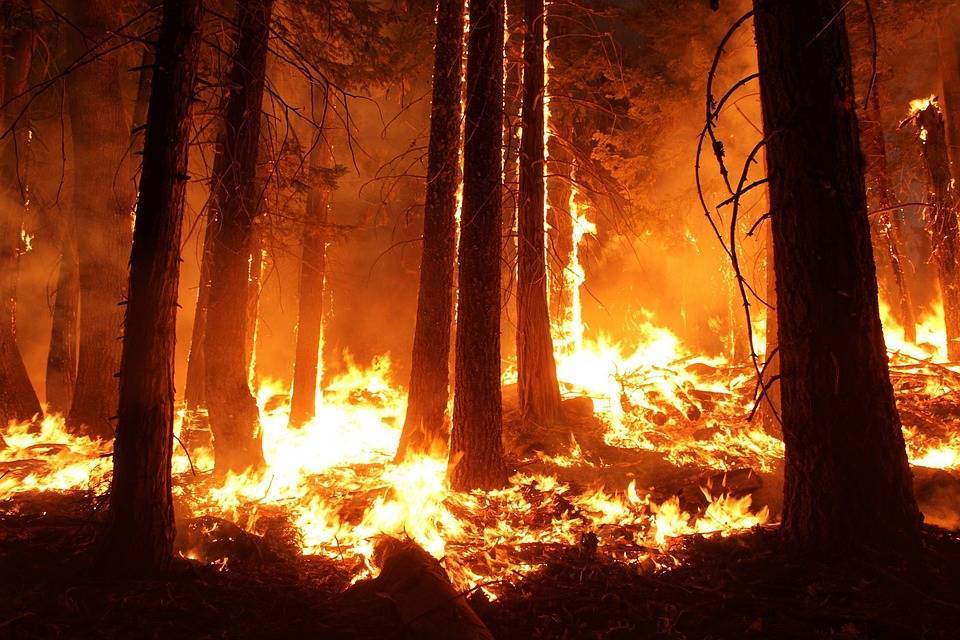 За сутки в Бурятии боролись с десятью лесными пожарами