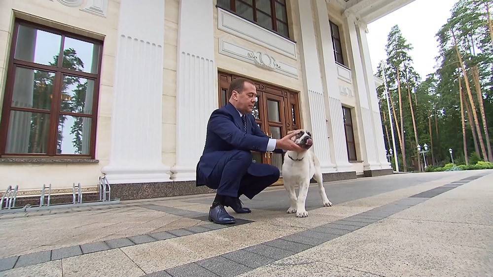 Медведев опубликовал забавное видео с подаренным ему щенком