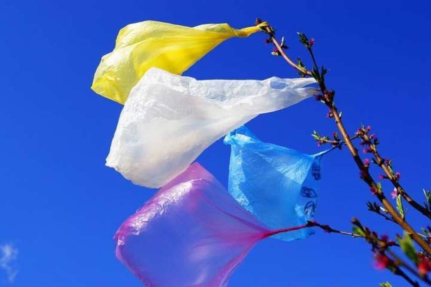 В Германии хотят запретить пластиковые пакеты