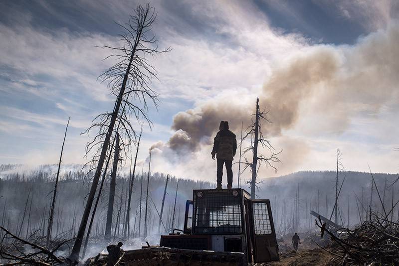 В России сократилось число лесных пожаров