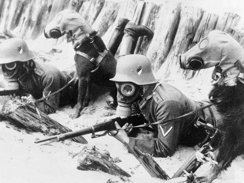 Где в СССР немцы испытывали своё химическое оружие | Русская семерка