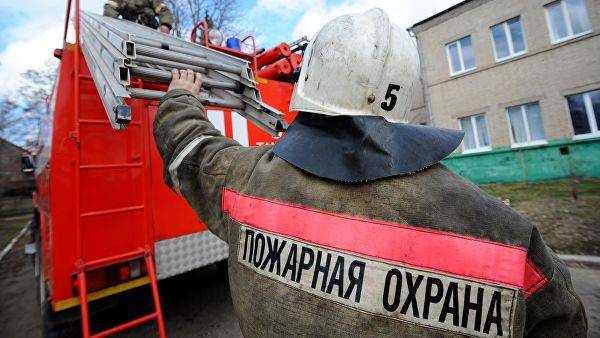 В зоне отдыха в Ростове-на-Дону потушили возгорание зарослей камыша — Информационное Агентство "365 дней"
