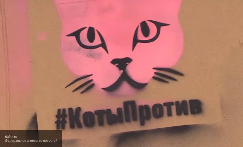 Петербургские активисты с помощью котов борются с рекламой запрещенных веществ