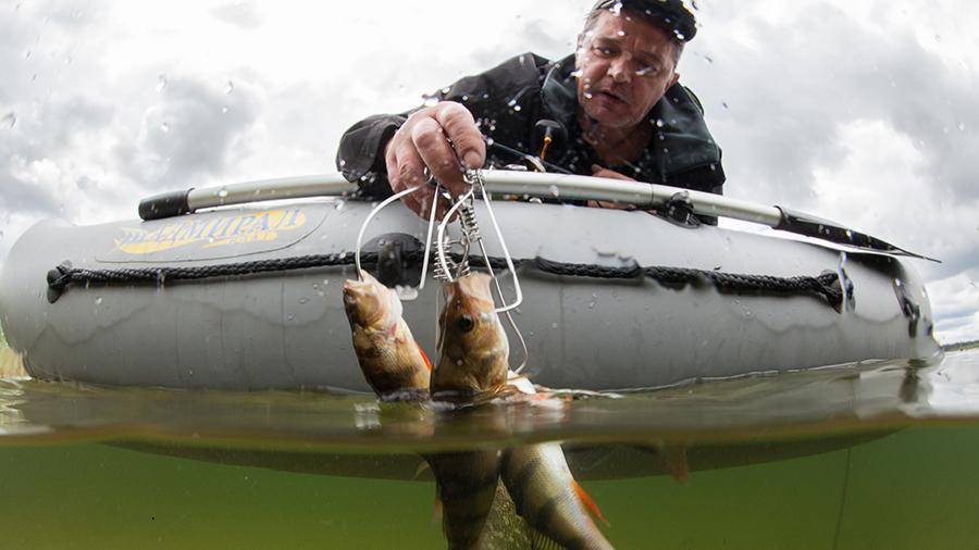 В Росрыболовстве объяснили новые правила любительской рыбалки
