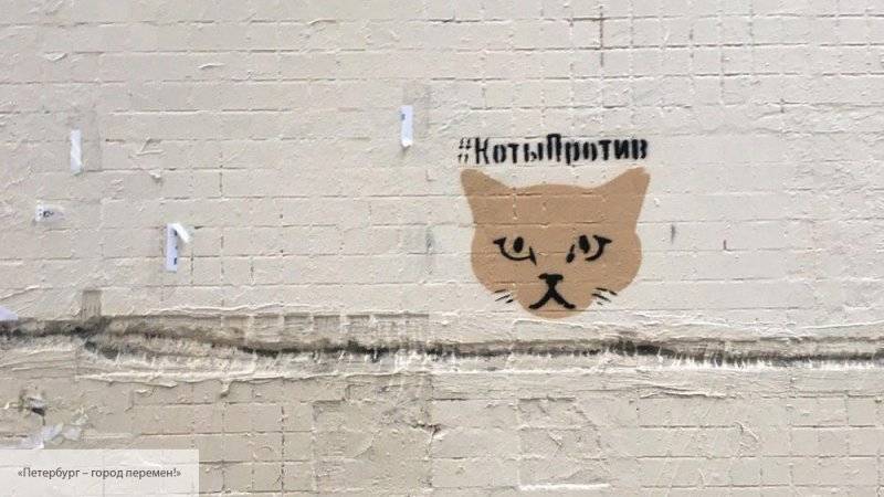 Активисты из «Коты против» борются с рекламой наркотиков в Петербурге