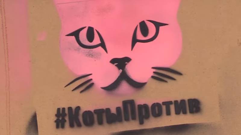 Активисты команды «Коты против» борются с рекламой запрещенных веществ в Петербурге