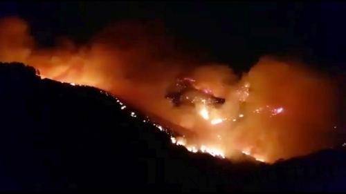 На Канарах из-за природного пожара эвакуированы около тысячи человек