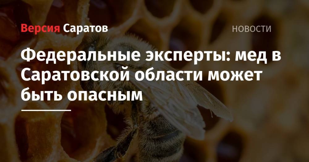 Федеральные эксперты: мед в Саратовской области может быть опасным