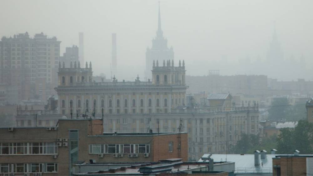 МЧС предупредило жителей Подмосковья о сильном тумане